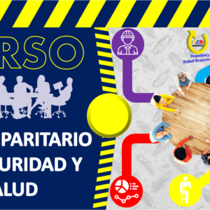CURSO DE ORGANISMOS PARITARIOS (Actualizado al Decreto Ejcutivo 255)