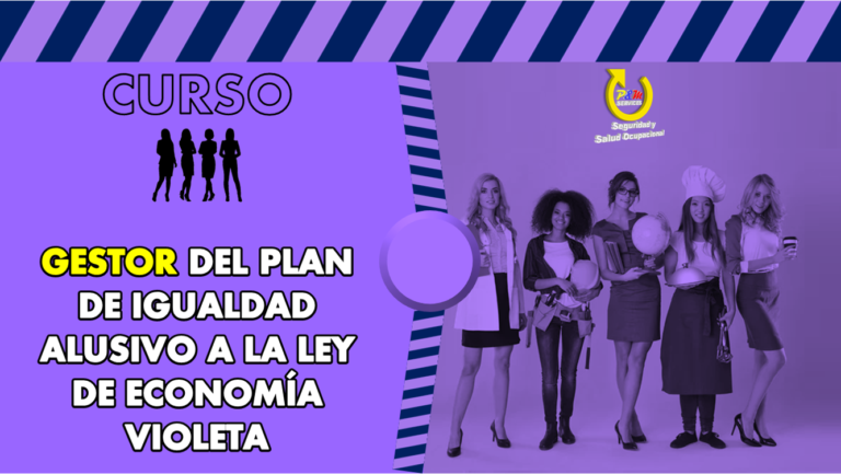 CURSO DE GESTOR DEL PLAN DE IGUALDAD (Ley de Economía Violeta)