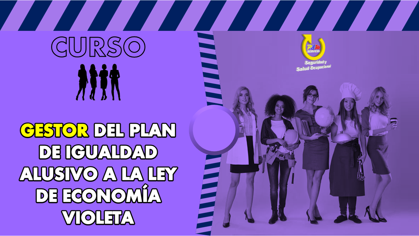 CURSO DE GESTOR DEL PLAN DE IGUALDAD (Ley de Economía Violeta)